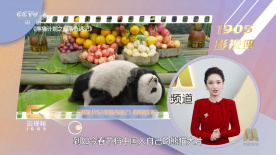 精品国产免费福利片